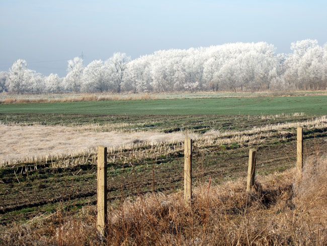 landschaft