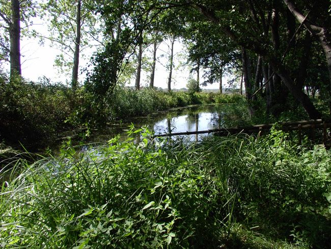 spreewald
